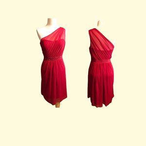 Adrianna Papell, Sizes 8, 8, 14, 16, One Shoulder, Cherry Dress